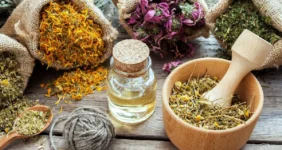 گیاهان دارویی پرکاربرد در طب سنتی و خواص آنها گیاهان دارویی پرکاربرد در طب سنتی و خواص آنها