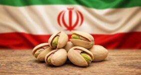 نبرد پسته در بازار جهانی/ آمریکا جایگزین ایران شد