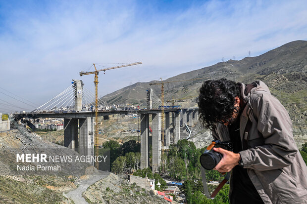 بیان جزئیاتی از فاجعه لامرد؛ آیا جام‌جهانی سینما را نجات می‌دهد؟
