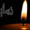 پیام تسلیت فدراسیون ورزش‌های آبی به برادران تاریخ‌ساز واترپلوی ایران