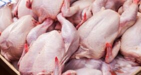 چراغ سبز به صادرات گوشت مرغ / قیمت‌ها در بازار داخلی بالا می‌رود؟